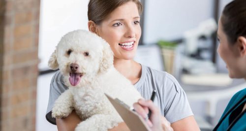 The-Benefits-Of-Pet-Health-Insurance.jpg